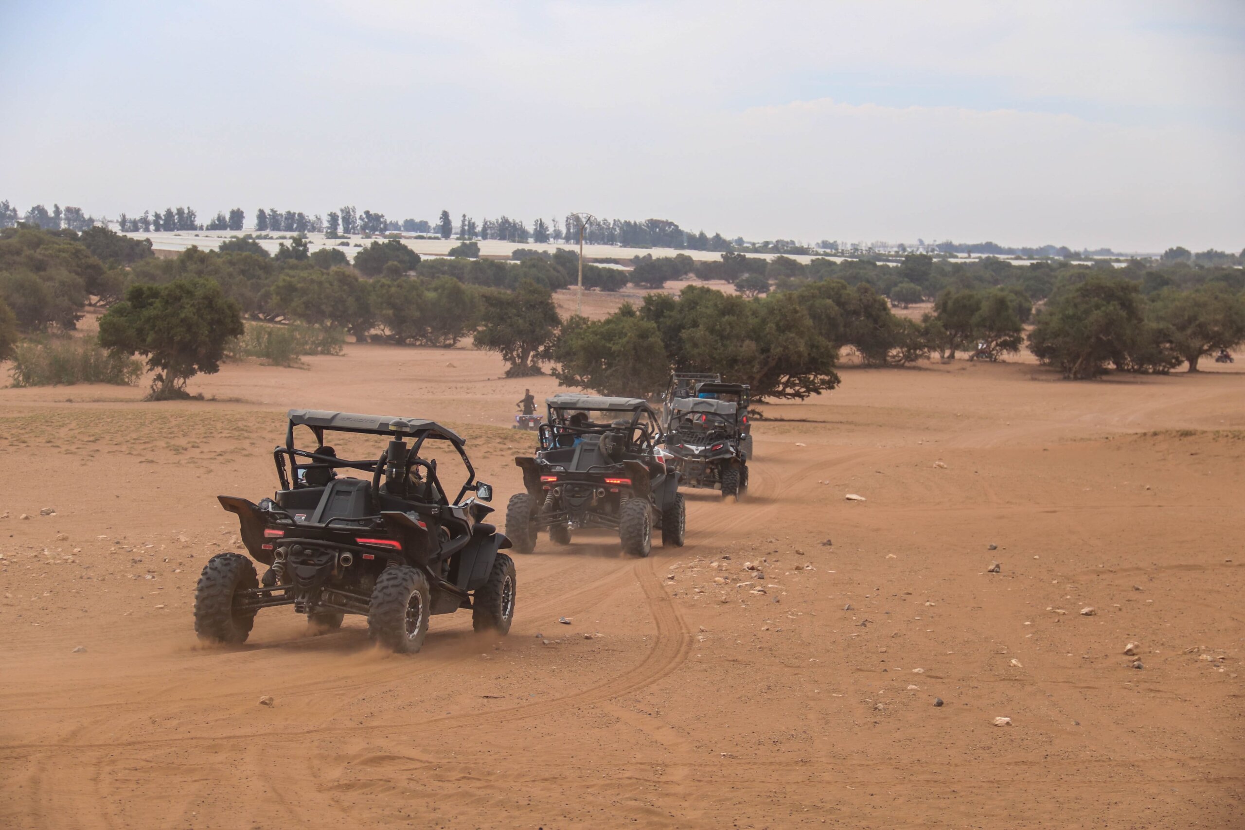 Desert Buggy Adventure with Berber Tea Stop 5